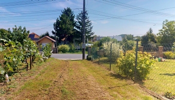 Novozamacka-Vinny-Dom-1256-Velky-Kyr-08012025_202651.jpg