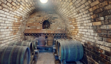 Novozamacka-Vinny-Dom-1256-Velky-Kyr-08012025_203204.jpg